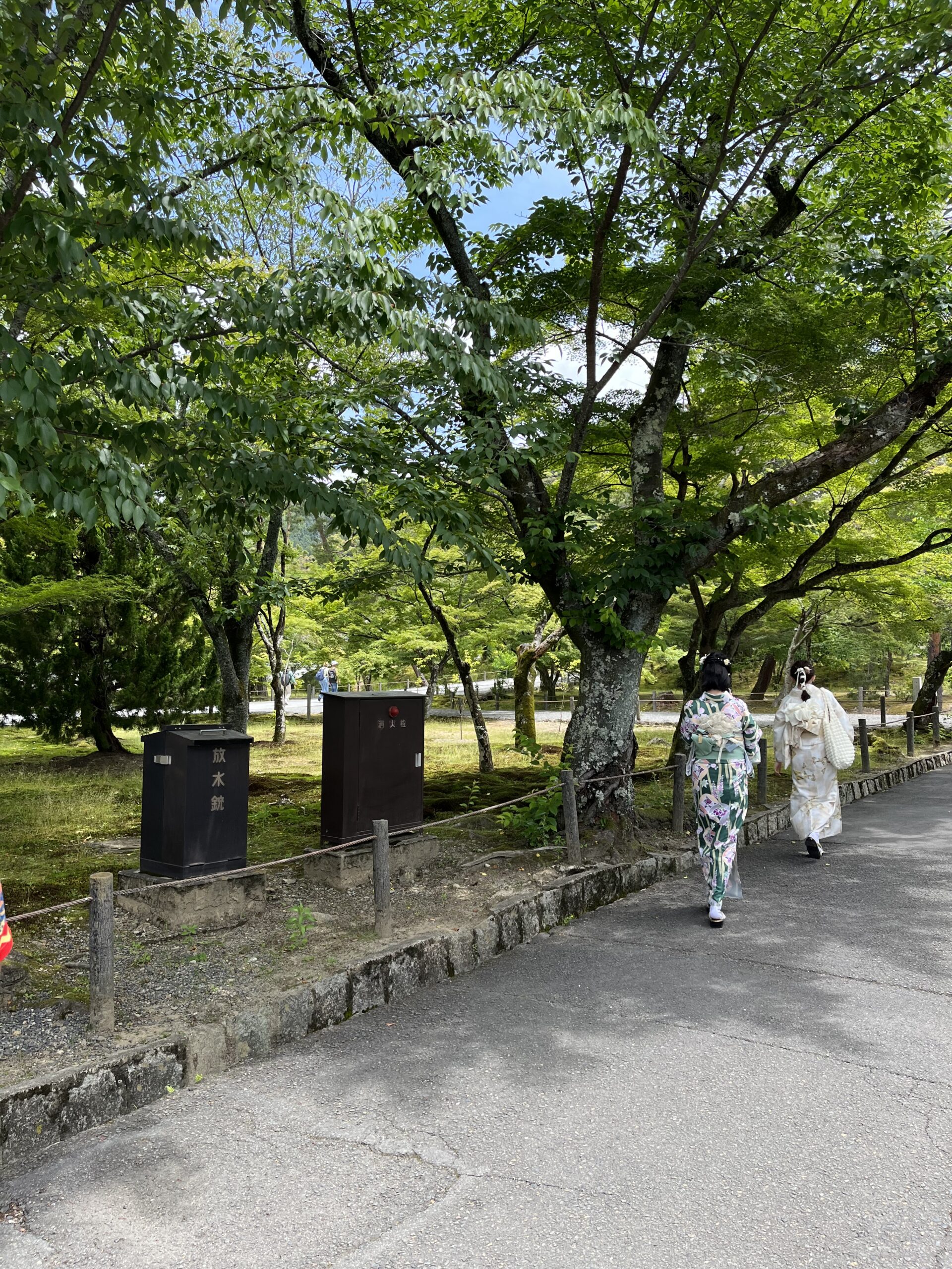 Two people walking away from the camera along a pathway with large trees on the left.