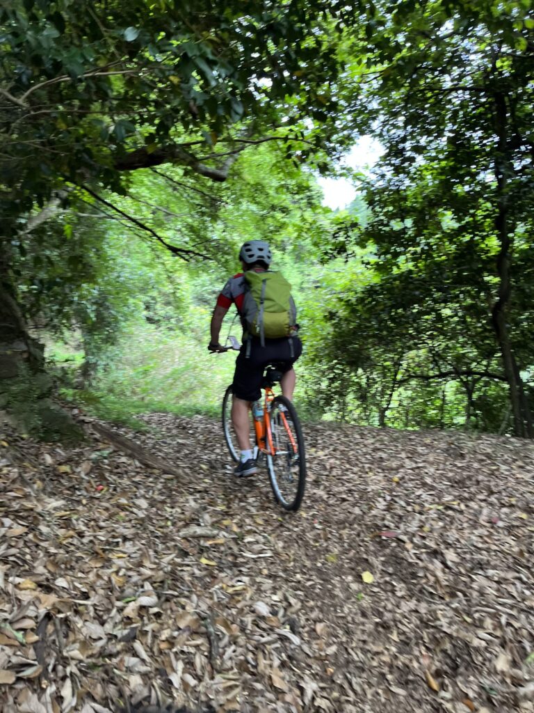 Cyclist riding on mountain road covered in fall leaves between a canopy of green foliage in rural Japan.