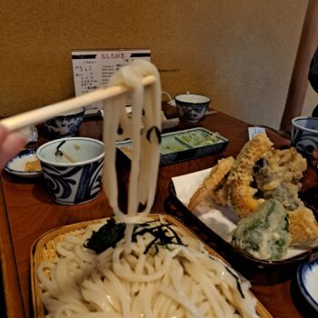 Long white udon noodles lifted by chopsticks with crispy hot tempura in the background.