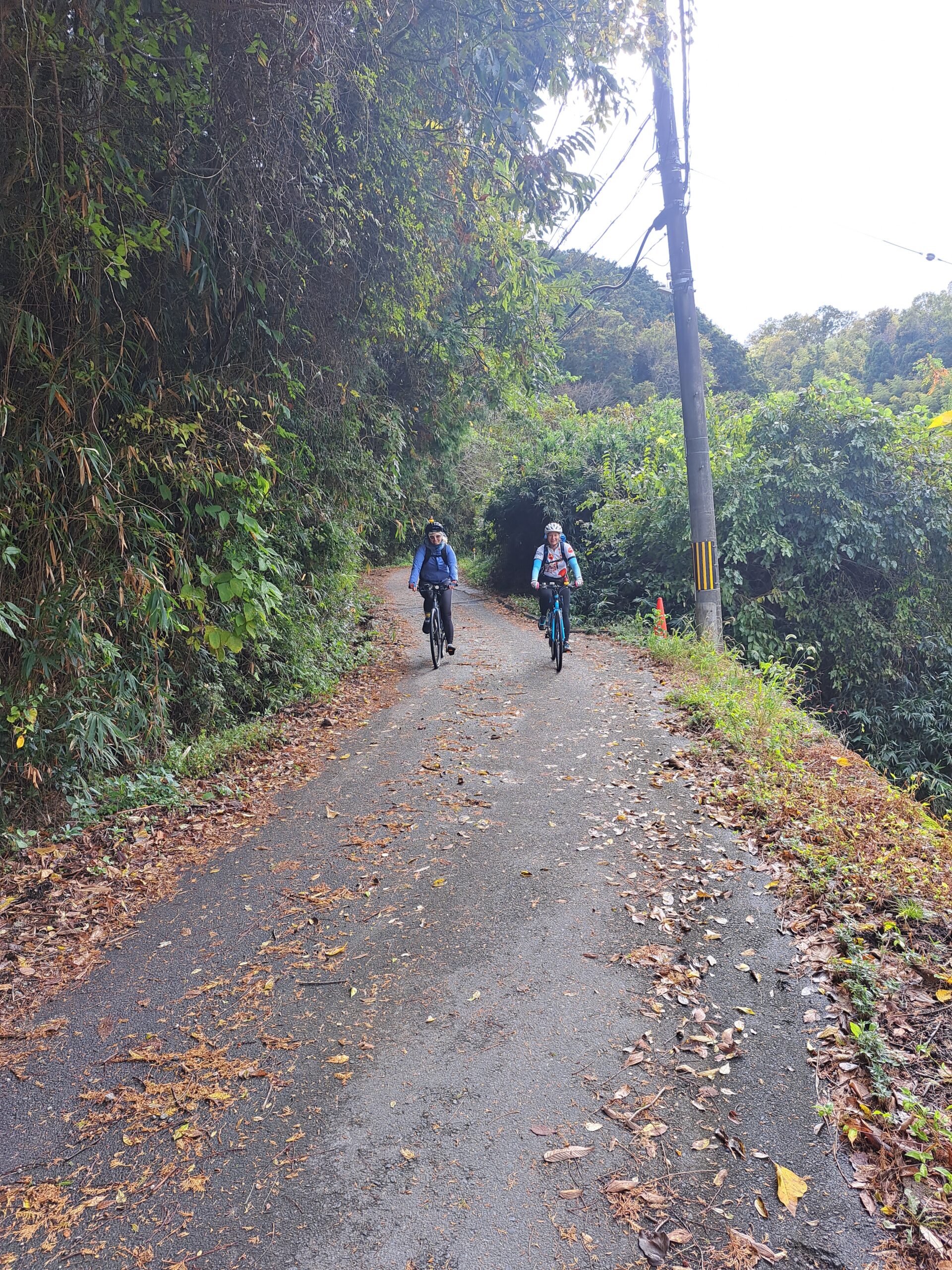 Two cyclists, side by side, in the middle of the picture on a paved scattered on top. Large trees line the left side of the trail and the ride side has a drop off covered in grass and fallen leaves in rural Japan.