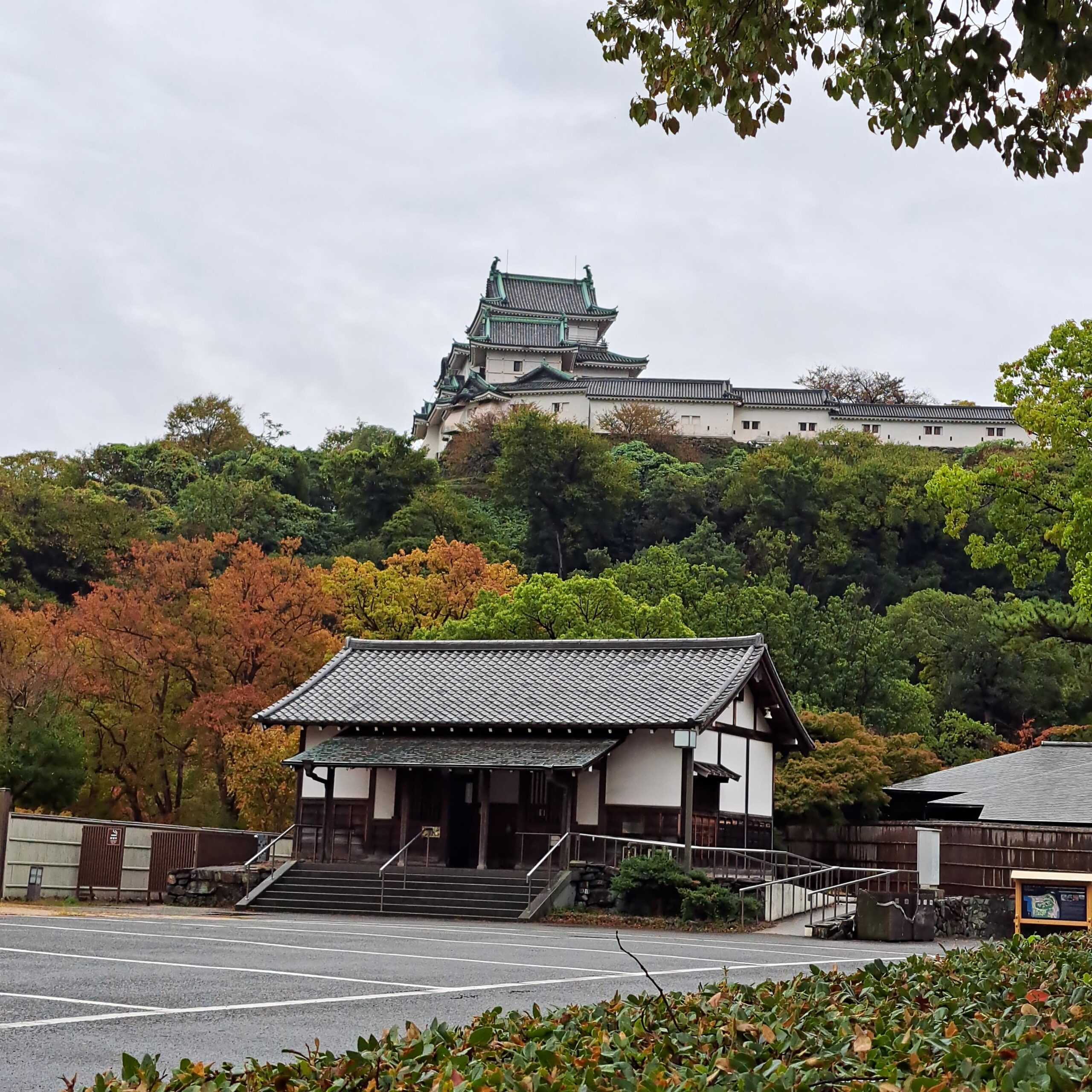 Wakayama castle in the background with a grey sky and the vibrant fall colors of orange and red starting to show in the midst of the trees with a smaller building.