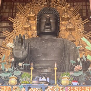 Todaiji, the giant buddha statue in Nara. A sitting buddha dark brown with right hand up and gold decor behind with bright alter in the front.