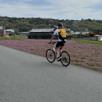 Cyclist riding with a yellow backpack past a field of purple flowers with an old Japanese building in the background.