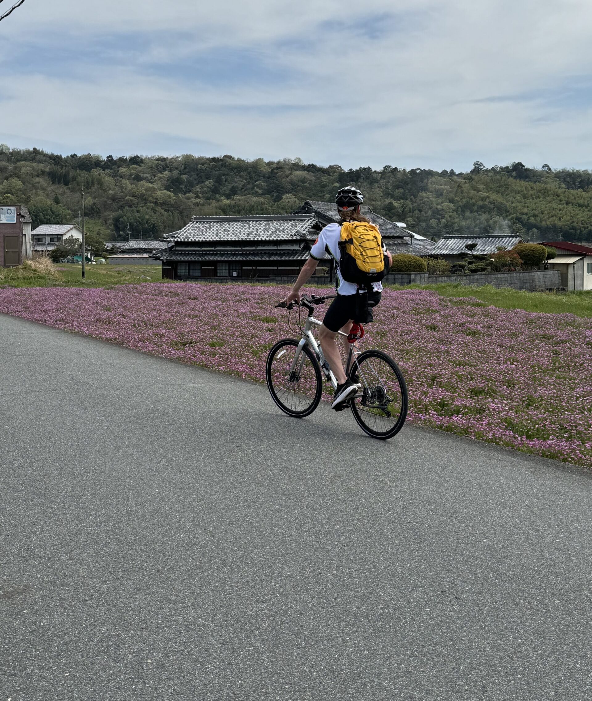 Cyclist riding with a yellow backpack past a field of purple flowers with an old Japanese building in the background.