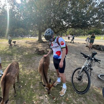 Cyclist stops to pet the deer in Nara park.