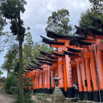 Red Tori gates of Fushimi Inari