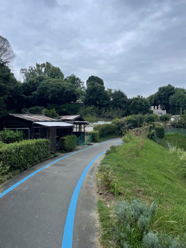 Lush green grass and trees line a curved pathway that is lined blue lines on either side indicating it is a bike pathway.