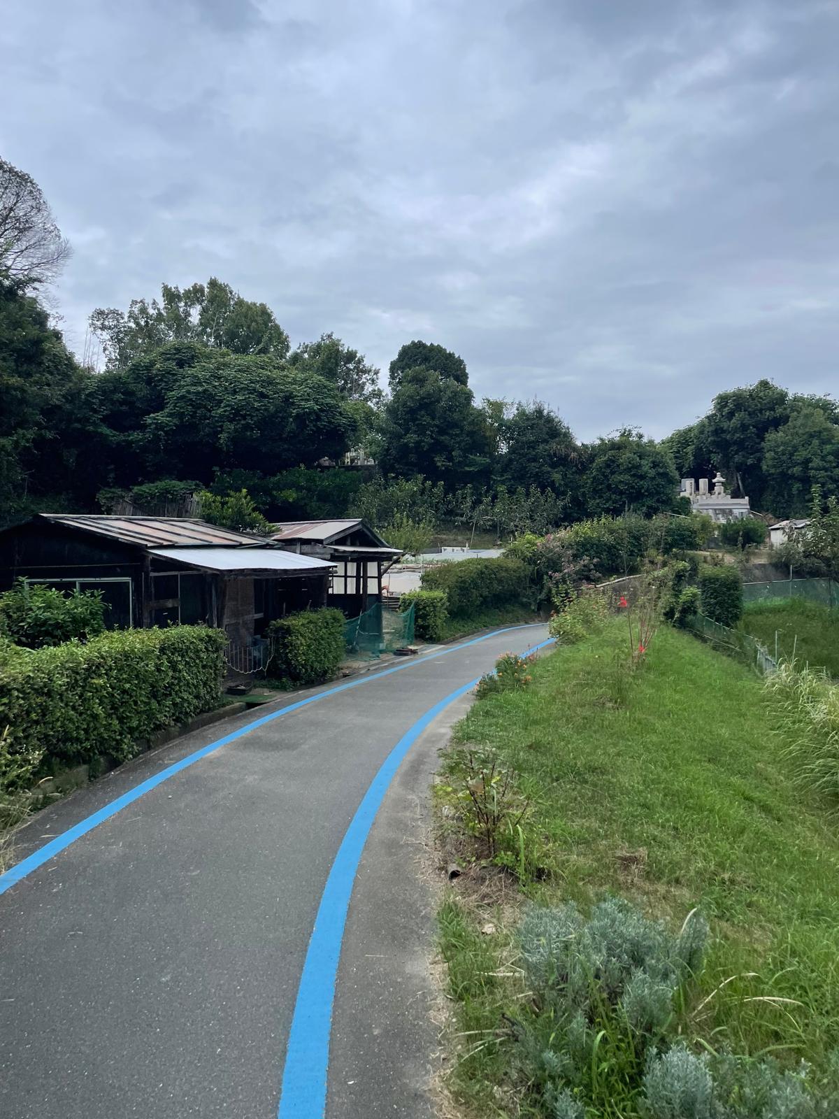 Lush green grass and trees line a curved pathway that is lined blue lines on either side indicating it is a bike pathway.