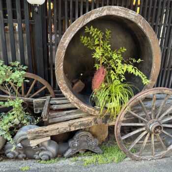 Japanese old wagon with green plans inside.