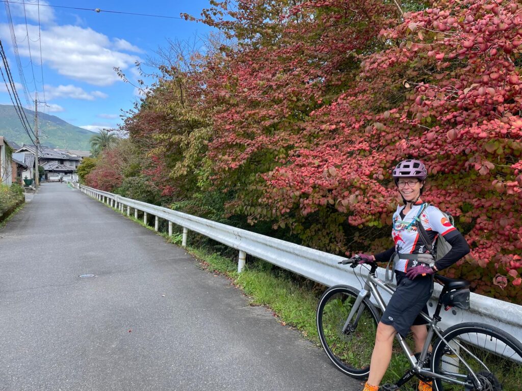 Cyclist stops on the side of a rural road way with bright red fall leaves in the background.