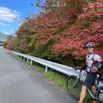 Cyclist stops on the side of a rural road way with bright red fall leaves in the background.