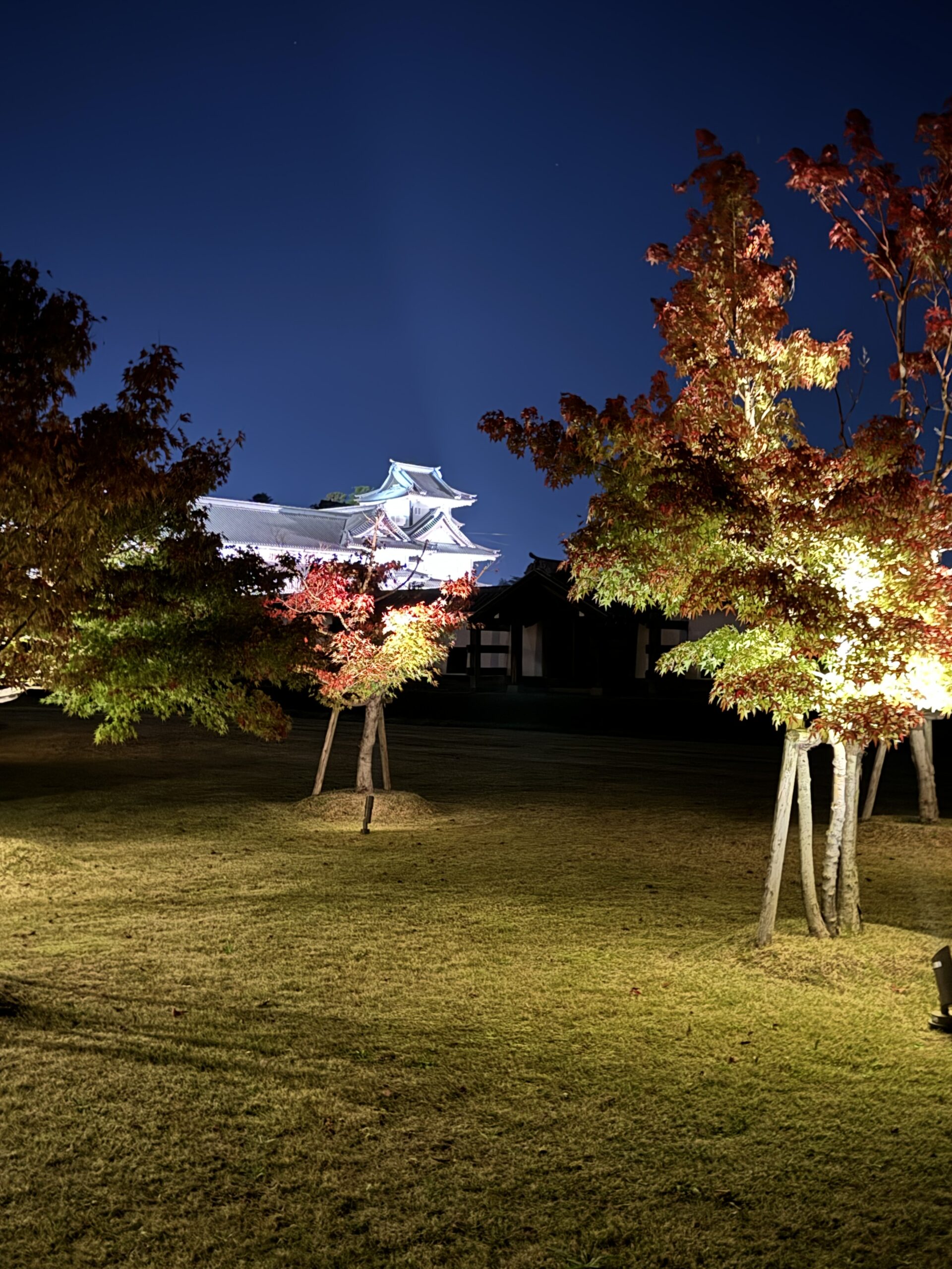 Clear night sky with the Kanazawa castle lit up in the background. Fall colored trees are lit up in the foreground.